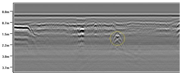 093352246.jpg 093352246.jpg